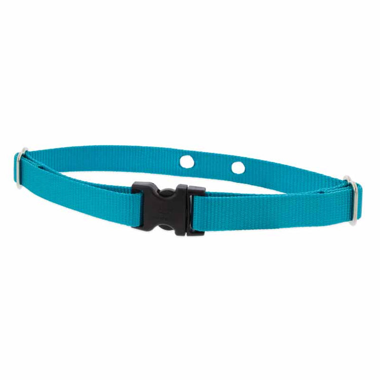 Underground Fence Dog Collar Strap from LupinePet in 3/4in width and 16in-24in neck size ? Aqua Color