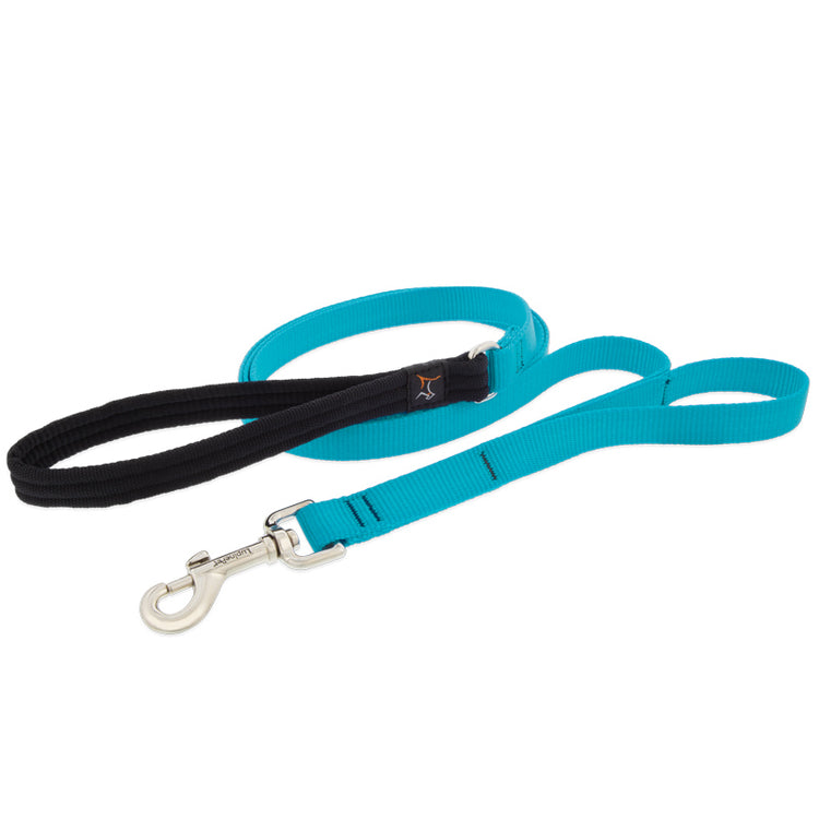 Double Handled Dog Leash from LupinePet in 3/4in width & 6ft length ? Aqua Color