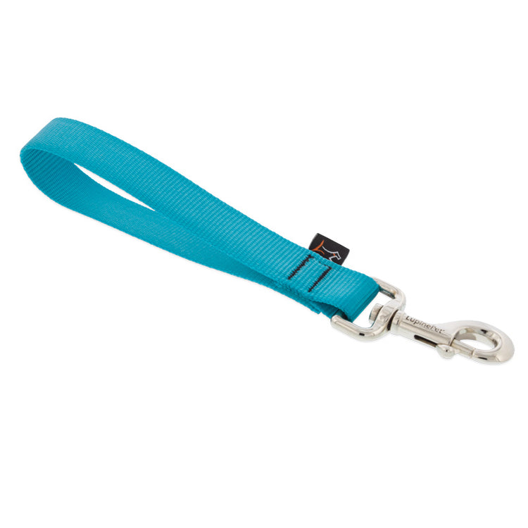 Training Tabs for Dog Walking & Training in 1in width from LupinePet ? Aqua Color