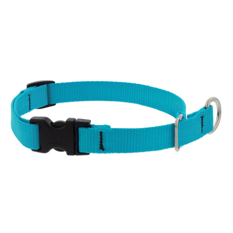 Basic Solids Limited Slip Collar with Buckle