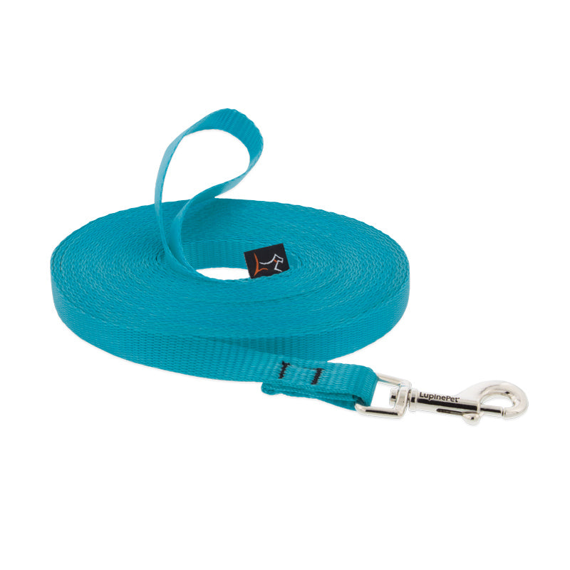 Training Lead by Lupine Pet