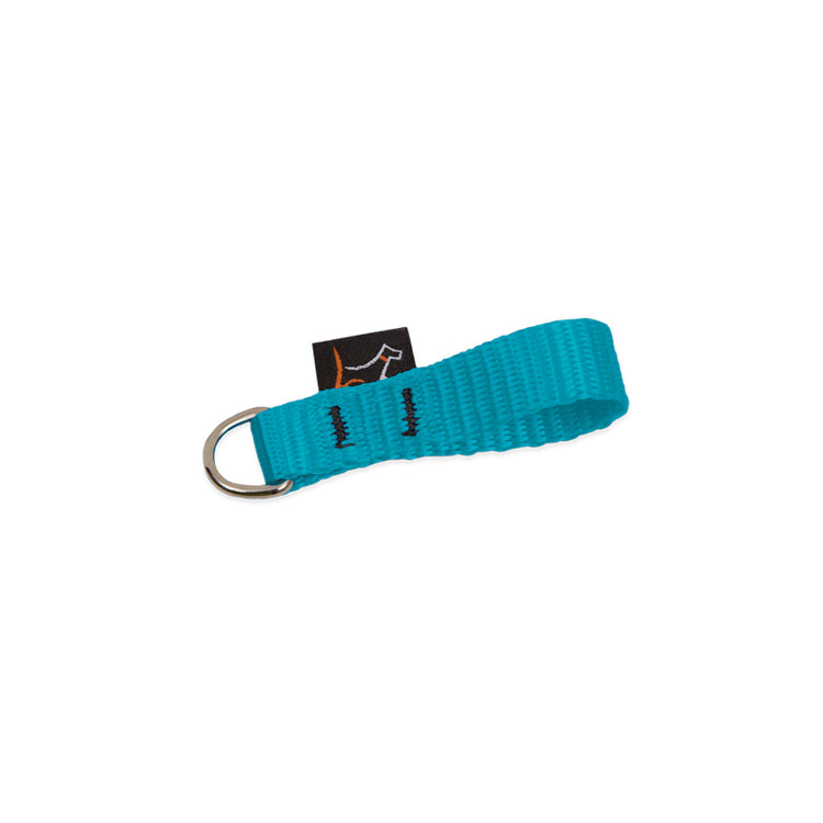 Collar Buddy Dog Collar D-ring Extender from LupinePet in 1/2in width ? Aqua Color