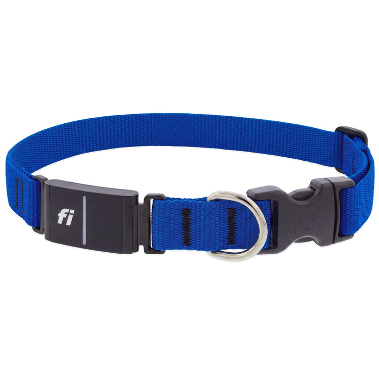 1in Fi gps collar in the Blue Eco color