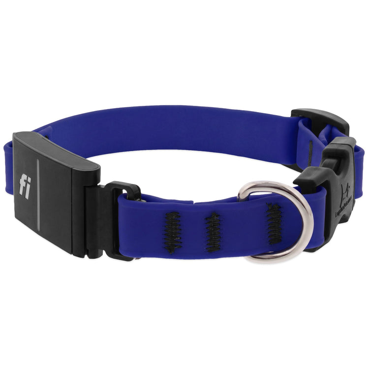 LupinePet Fi Collar Splash Colors