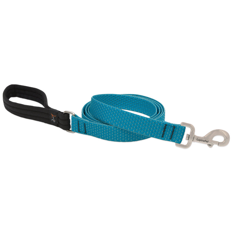 Eco Padded Handle Leash for Dogs – LupinePet®