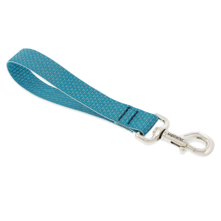 Training Tabs for Dog Walking & Training in 1in width from LupinePet ? Tropical Sea Color