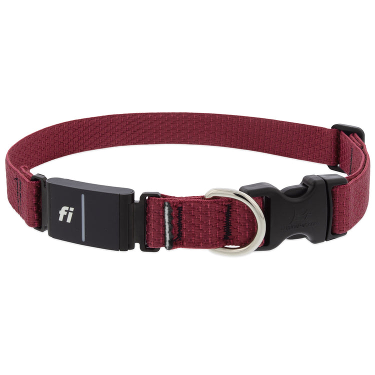 1in Fi gps collar in the Berry Eco color