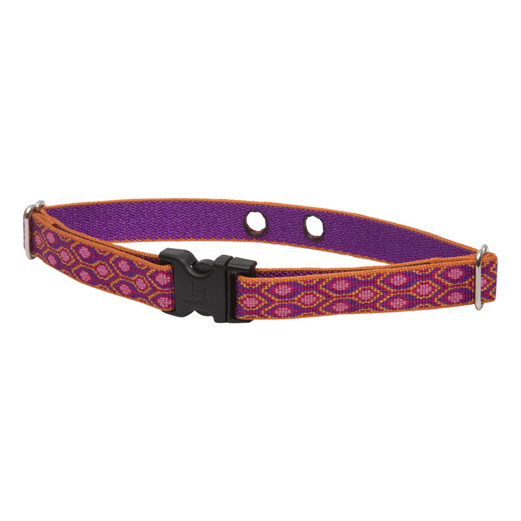 Invisible Fence Underground Fence Dog Collar Strap from LupinePet in 3/4in width and 16in-24in neck size ? Alpen Glow Design