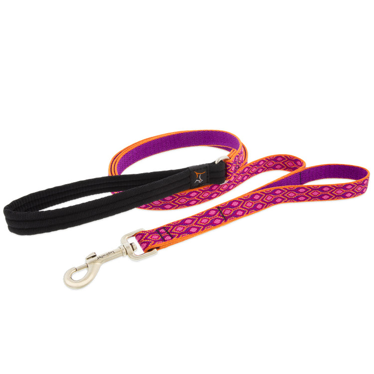 Double Handled Dog Leash from LupinePet in 3/4in width & 6ft length ? Alpen Glow Design