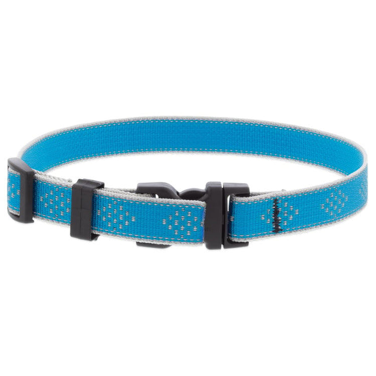 Damaged Reflective e-Collar Replacement