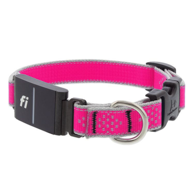 3/4in Fi gps collar in the Pink Diamond Reflective design.