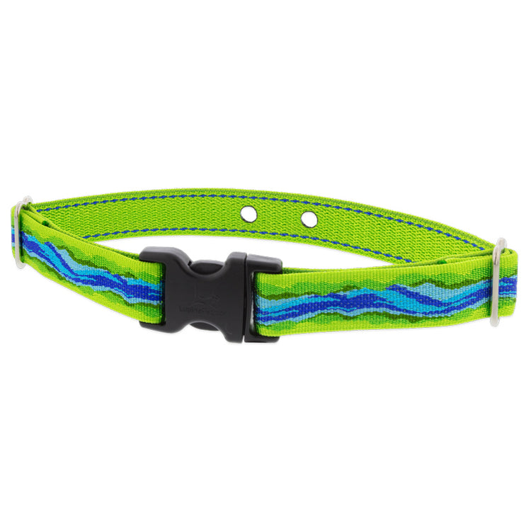 
                    
                      Underground Fence Dog Collar Strap from LupinePet in 1in width and 16in-24in neck size ? blue river Design
                    
                  