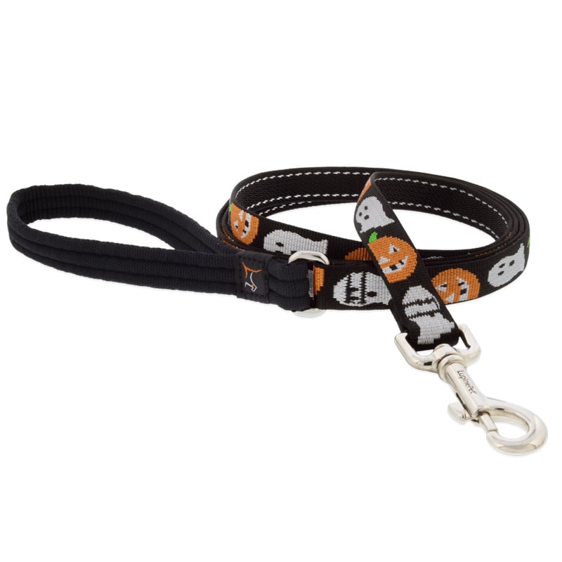 Dog Leash