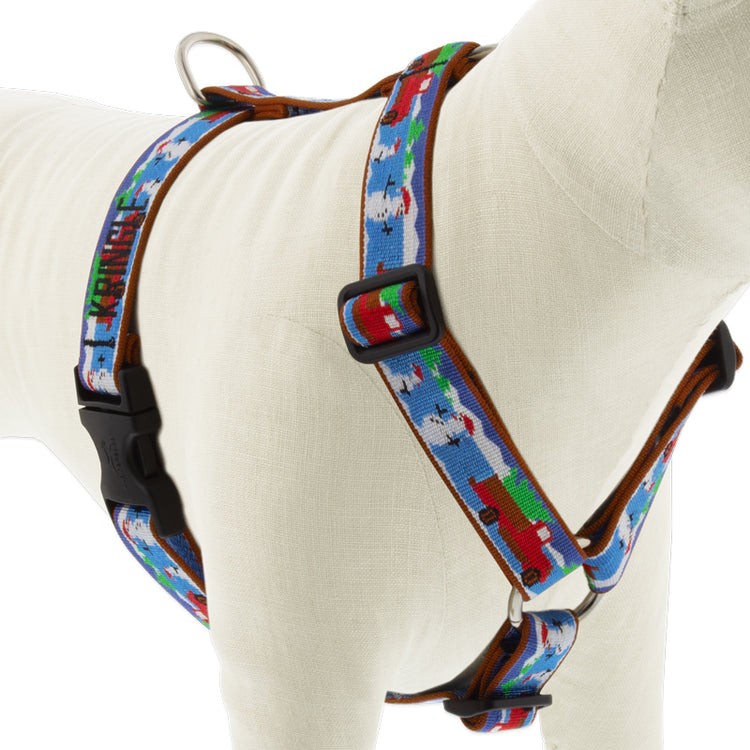Special Delivery Roman Dog Harness with Embroidery from LupinePet - Close-up