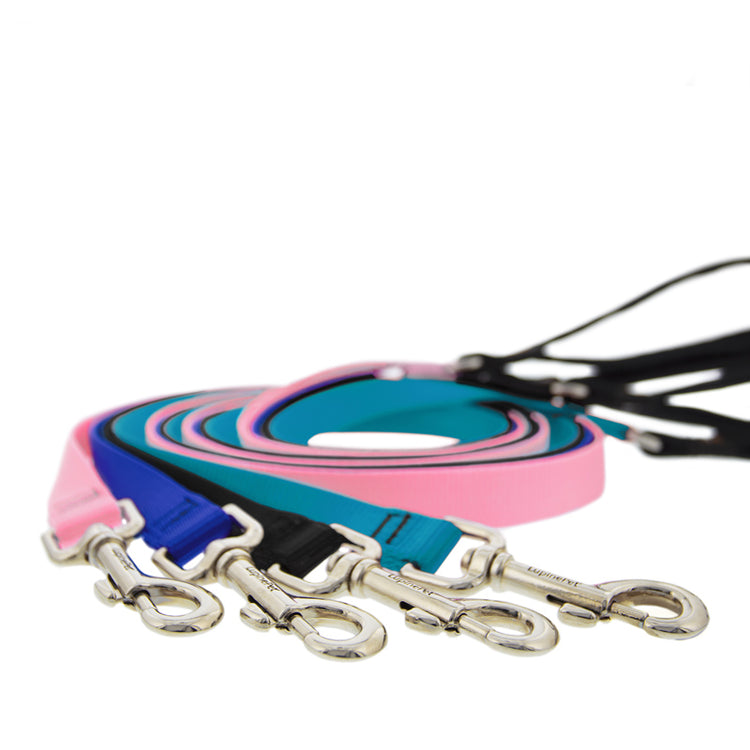6 foot dog leashes in assorted colors from Basic Solids collection on a white background