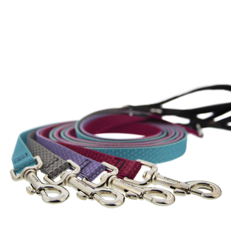 6 foot dog leashes in assorted colors from Eco collection on a white background.