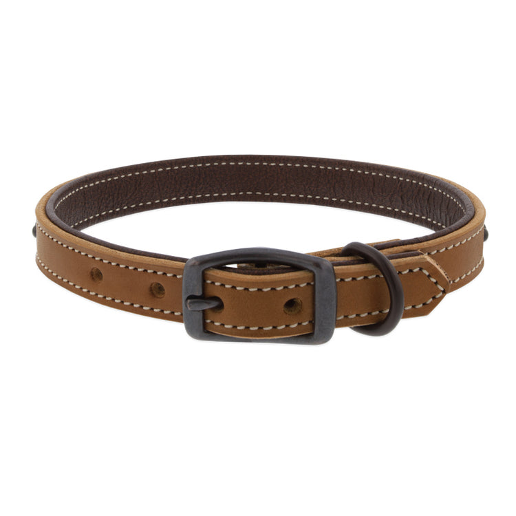 Outlaw Leather Dog Collar by Weaver? - front