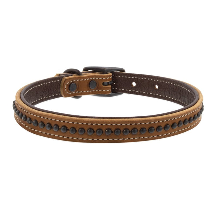 
                    
                      Outlaw Leather Dog Collar by Weaver? - back
                    
                  