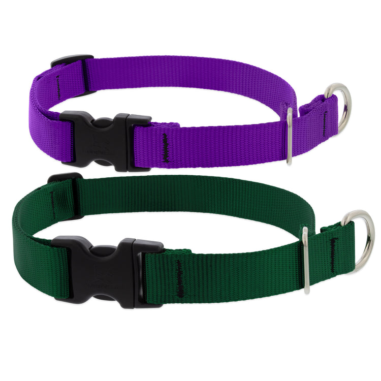 Limited Slip collars by LupinePet in Basic Solids in assorted colors on a white background