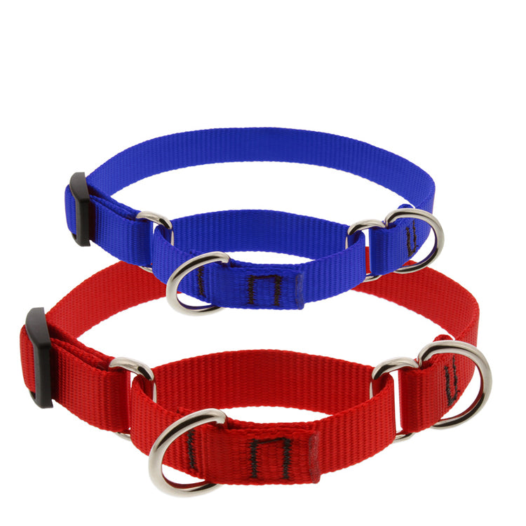 Basic Solid Red and Blue Martingale Training Collars by LupinePet