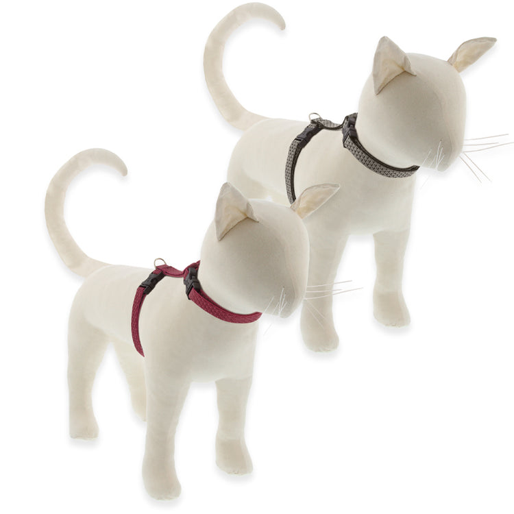 Eco H-Style cat harness on a cat model in assorted colors on a white background.