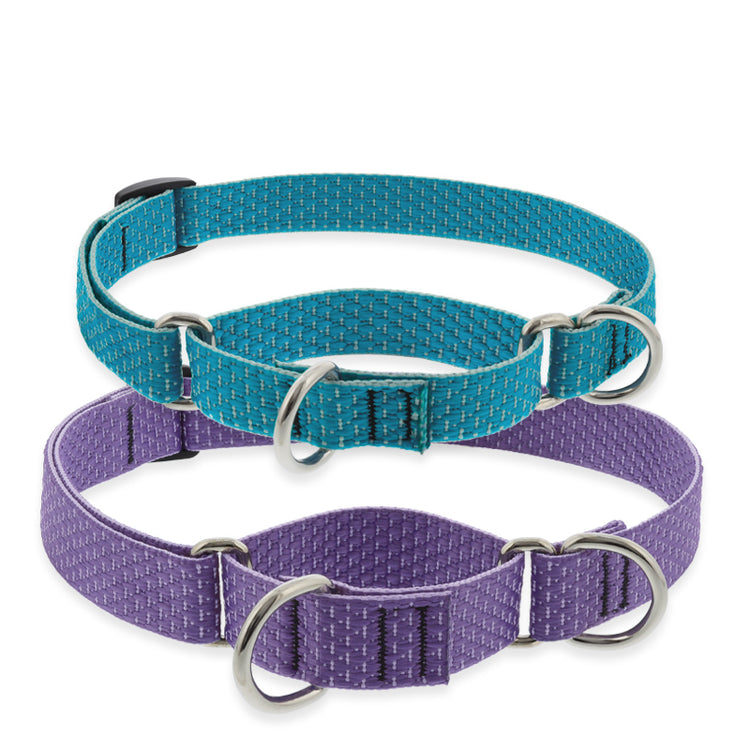 Martingale Training collars in LupinePet Eco recycled  Lilac and Tropical Sea