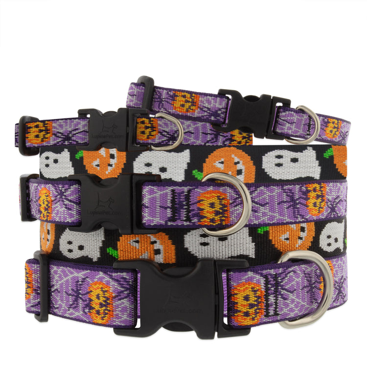 Halloween themed dog collars purple, orange, black and white with Jack-o-lanterns, spiders and ghosts