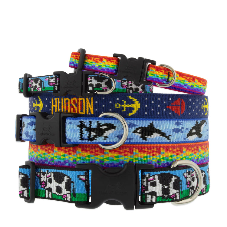 Assorted MicroBatch design dog collar in multiple size ranges on a white background