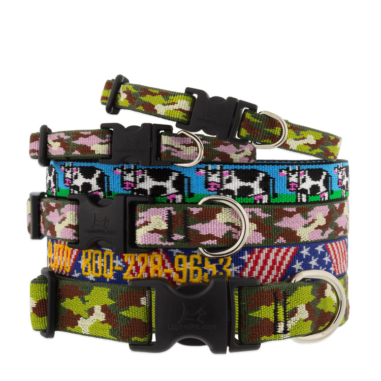 Assorted MicroBatch design dog collar in multiple size ranges on a white background