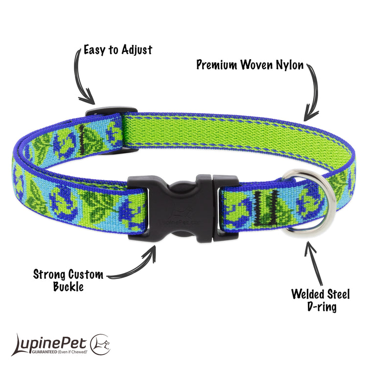 Adjustable Dog Collar Earth Day highlighting features of products. 