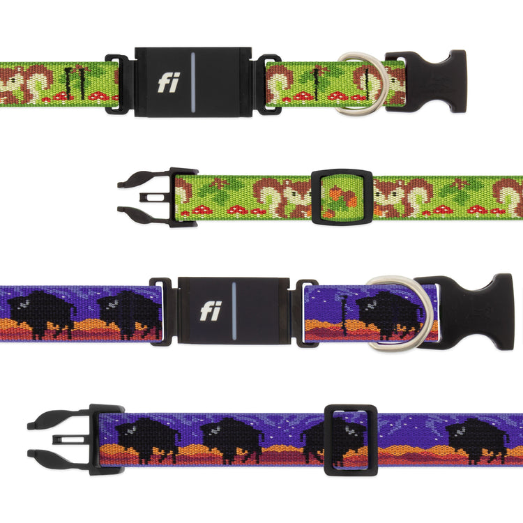Dog collars with FI GPS receivers in squirrel and bison designs.