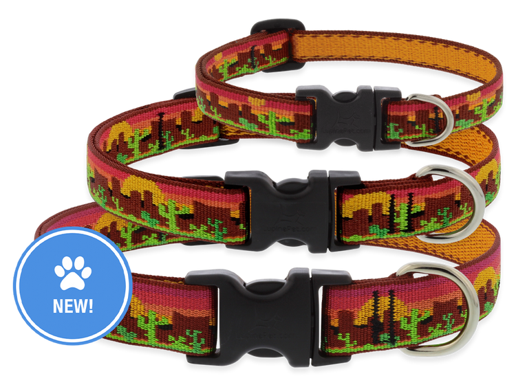 Desert Sunrise Southwestern design dog collars