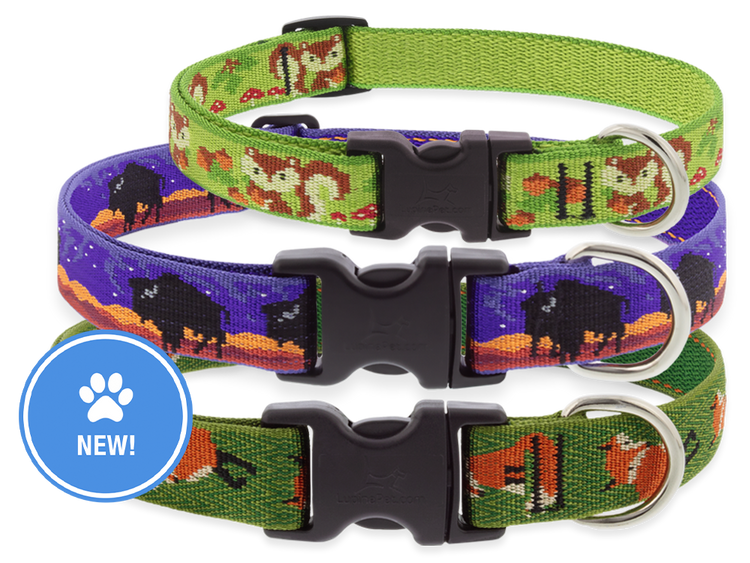 Three woven pet collars stacked vertically on a white background, each with a black plastic buckle and silver metal ring. The top collar is lime green with a woodland animal pattern, the middle is purple with bison silhouettes, and the bottom is green with foxes.