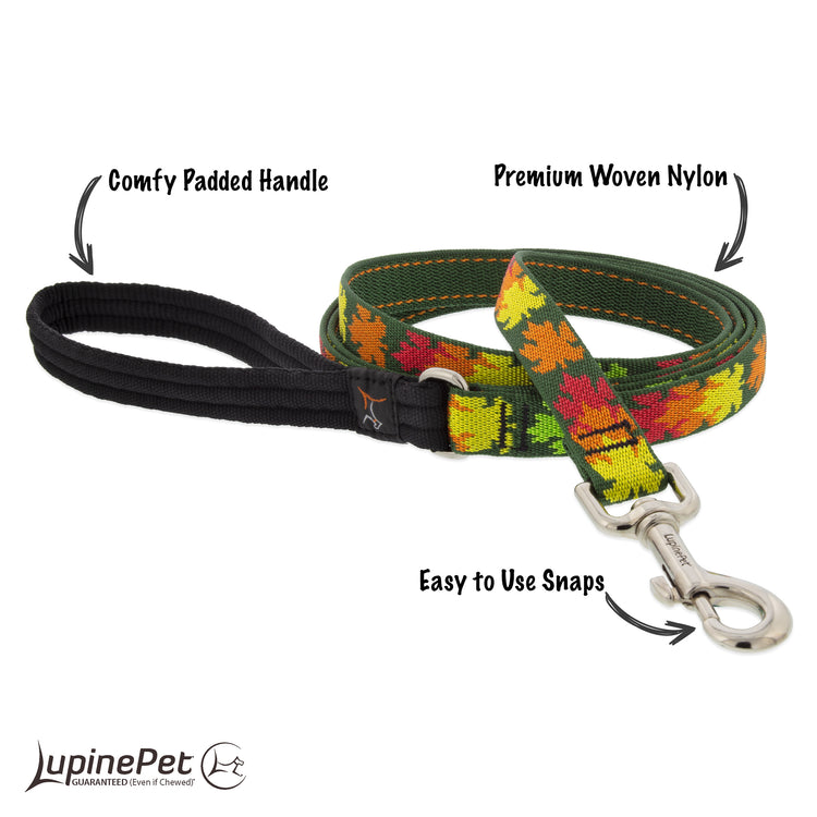 Dog Leash Sugar Bush highlighting features of products. 
