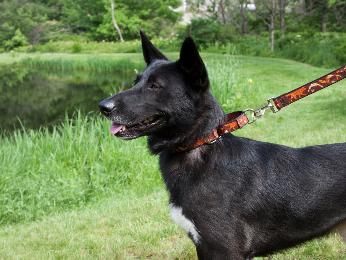 What Is a Martingale Collar?