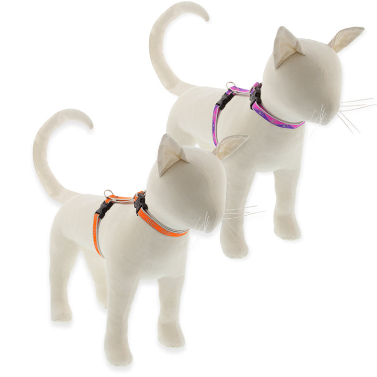 Reflective design H-Style cat harness on a cat model in assorted colors or designs on a white background