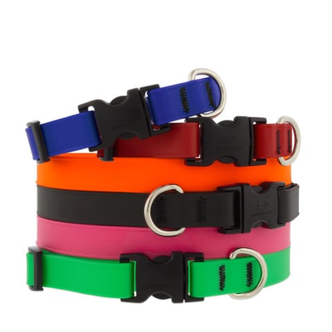 3/4" wide Adjustable Dog Collars in assorted Splash size and colors on a white background