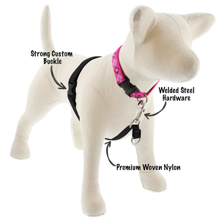 
                    
                      Lupine Pet No Pull Harness in Basic Solid Black. Seen here with Original Designs Puppy Love dog collar.
                    
                  