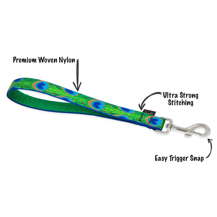 
                    
                       Rain Song dog collar and training tab.
                    
                  
