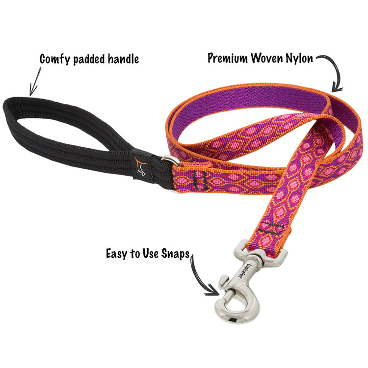 
                    
                      Jelly Roll collar and leash set by Lupine Pet on Golden Retriever.
                    
                  