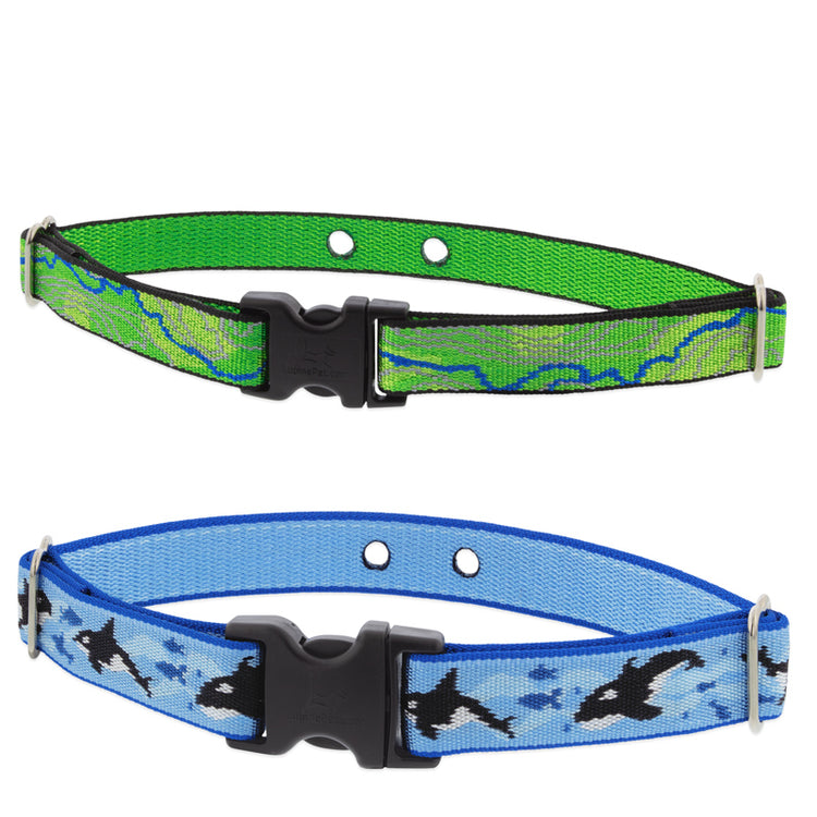 Underground containment collar style in LupinePet MicroBatch Limited Designs