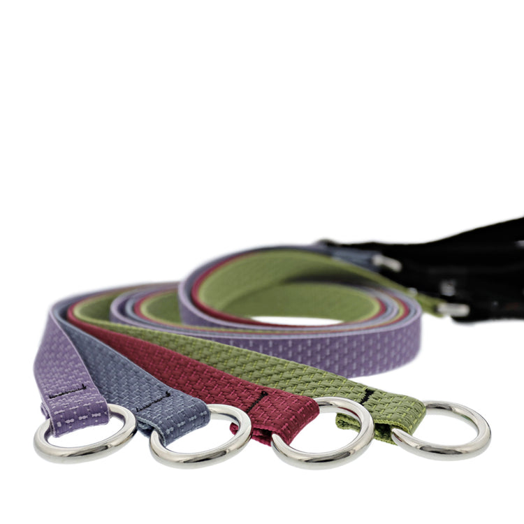 Eco recycled collection dog slip leads in assorted colors on a white background