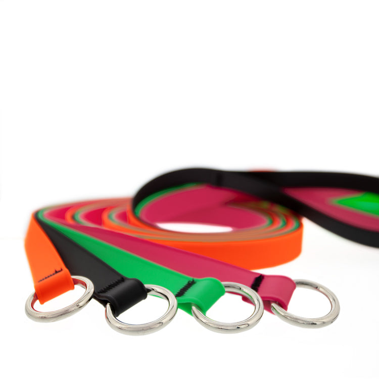 Slip leads dog leashes in assorted colors on white background