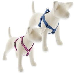 Dog Harnesses category image
