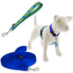 Training Products for Dogs category image