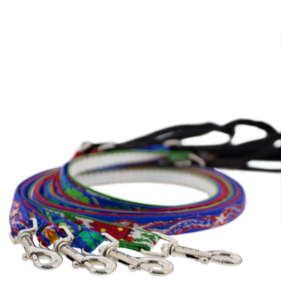 LupinePet Holiday Designs Cat Leashes