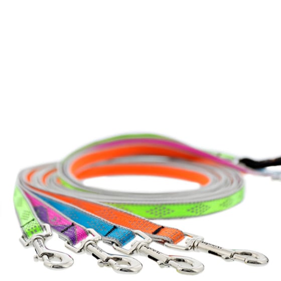Cat leash for use with H-style cat harnesses. Shown in assorted Reflective Designs by LupinePet. Lifetime Guarantee.