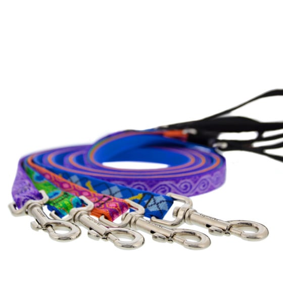 Lupine Pet dog leashes for any size dog. Shown here in assorted Original Designs.