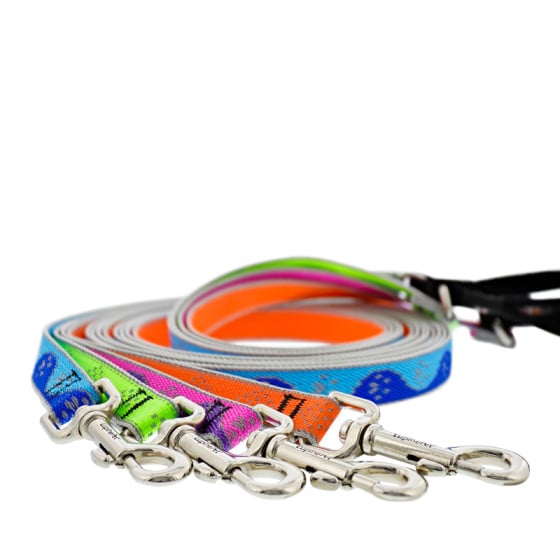 Reflective Dog Leashes in New High Lights Reflective designs from LupinePet.
