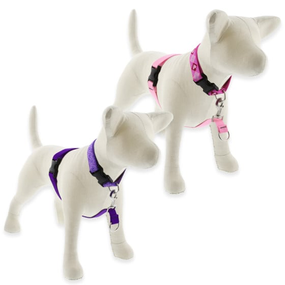Basic Solids No Pull Training Harness